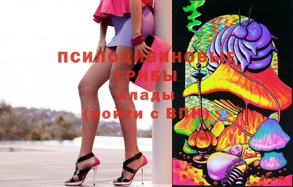 винт Осинники
