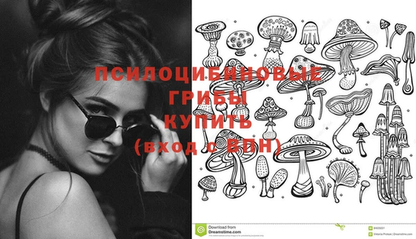 винт Осинники
