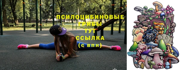 винт Осинники