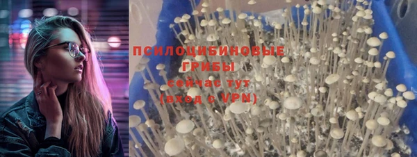 PSILOCYBIN Осташков